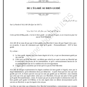 DE L'ÉGARÉ AU BIEN GUIDÉ (PDF)