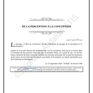 DE LA PERCEPTION À LA CONCEPTION (PDF)