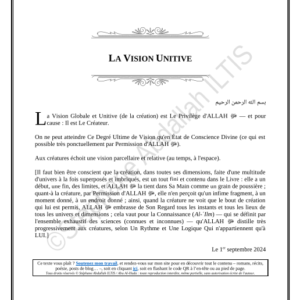 LA VISION UNITIVE (PDF)