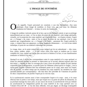 L'IMAGE DE SYNTHÈSE (PDF)