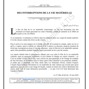DES INTERRUPTIONS DE LA VIE MATÉRIELLE (PDF)