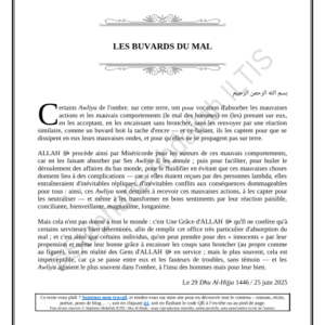 LES BUVARDS DU MAL (PDF)