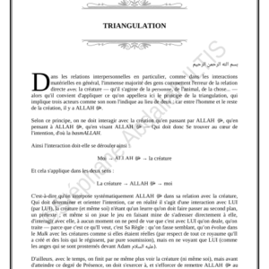 TRIANGULATION (PDF)