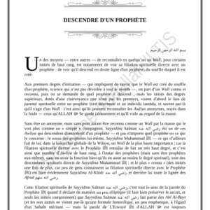 DESCENDRE D'UN PROPHÈTE (PDF)