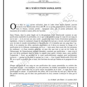 DE L'EXÉCUTION SANGLANTE (PDF)