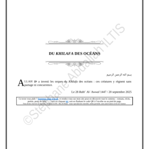 DU KHILAFA DES OCÉANS (PDF)