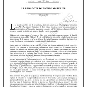 LE PARADOXE DU MONDE MATÉRIEL (PDF)