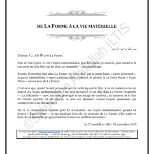 DE LA FORME À LA VIE MATÉRIELLE (PDF)