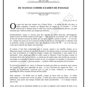 DU WASWAS COMME EXAMEN DE PASSAGE (PDF)