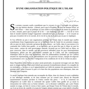 D'UNE ORGANISATION POLITIQUE DE L'ISLAM (PDF)