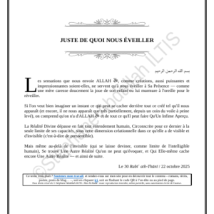 JUSTE DE QUOI NOUS ÉVEILLER (PDF)