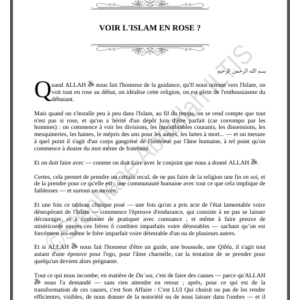 VOIR L'ISLAM EN ROSE ? (PDF)