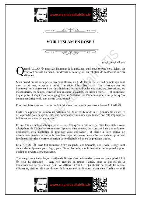 VOIR L'ISLAM EN ROSE ? (PDF)