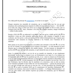 TRIANGULATION (2) (PDF)