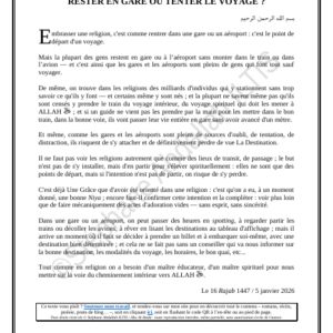 RESTER EN GARE OU TENTER LE VOYAGE ? (PDF)