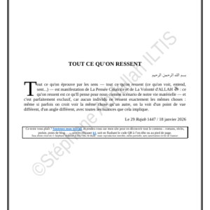 TOUT CE QU'ON RESSENT (PDF)