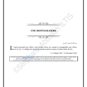 UNE MONTGOLFIÈRE (PDF)