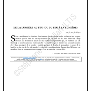 DE LA LUMIÈRE AU FEU (OU DU FEU À LA LUMIÈRE) (PDF)