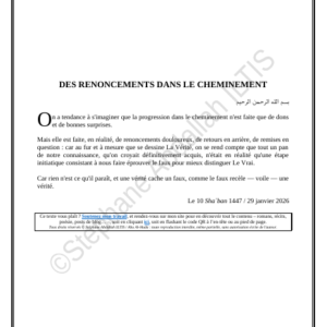 DES RENONCEMENTS DANS LE CHEMINEMENT (PDF)