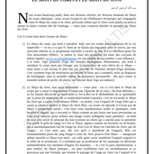 LE SHAYT DU CORPS ET LE SHAYT DU JINNI (PDF)