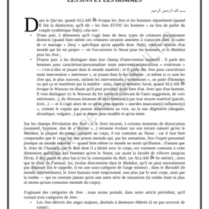 LES JINN ET LES HOMMES (PDF)