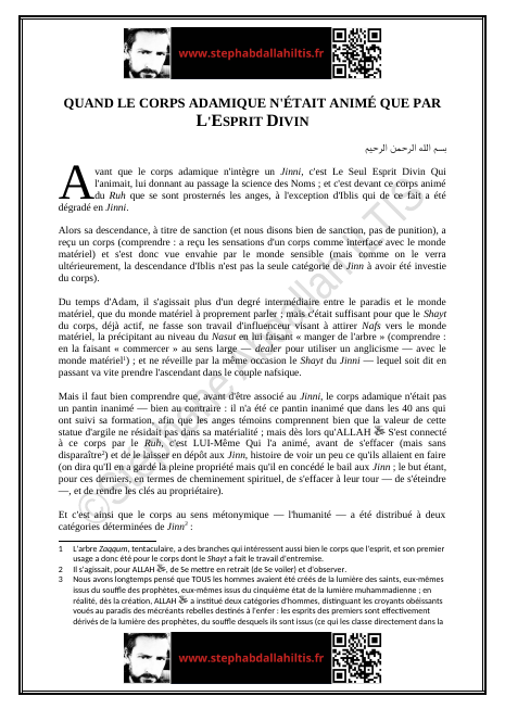 QUAND LE CORPS ADAMIQUE N'ÉTAIT ANIMÉ QUE PAR L'ESPRIT DIVIN (PDF)