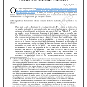 S'ÉLEVER SPIRITUELLEMENT EN ENFER ? (PDF)