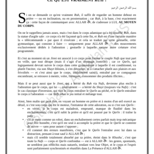 CE QU'EST VRAIMENT RUH ? (PDF)