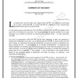 ESPRITS ET SECRET (PDF)