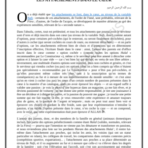 LES ATTACHEMENTS DANS LE CŒUR (PDF)