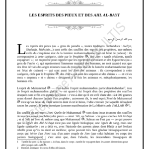 LES ESPRITS DES PIEUX ET DES AHL AL-BAYT (PDF)