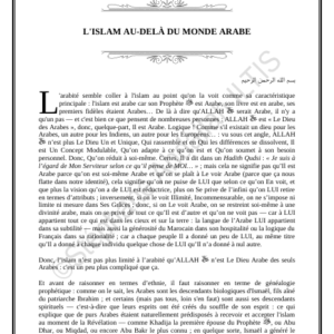 L'ISLAM AU-DELÀ DU MONDE ARABE (PDF)
