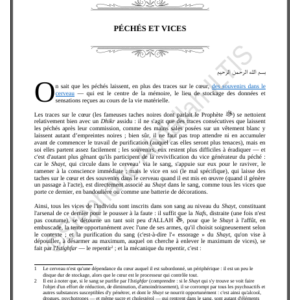 PÉCHÉS ET VICES (PDF)