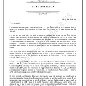 TU TE SENS SEUL ? (PDF)