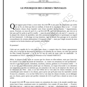 LE POURQUOI DES CHOSES TRIVIALES (PDF)