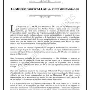 LA MISÉRICORDE D'ALLAH ﷻ, C'EST MUHAMMAD ﷺ (PDF)