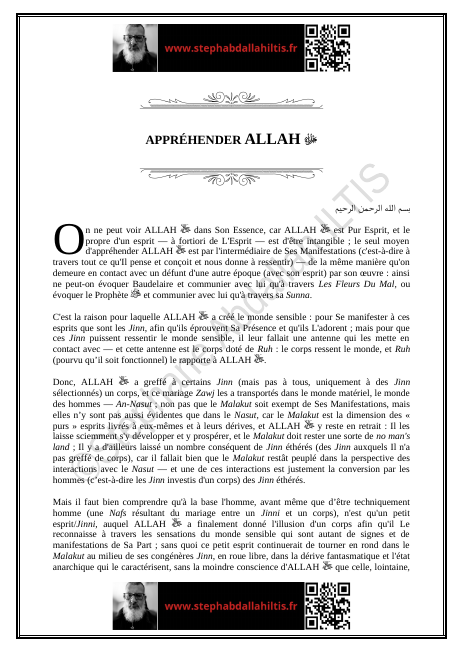 APPRÉHENDER ALLAH ﷻ (PDF)