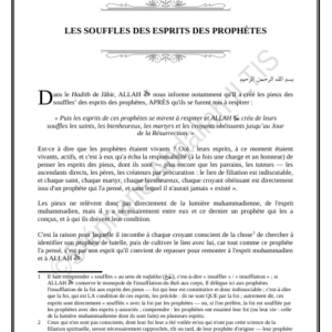 LES SOUFFLES DES ESPRITS DES PROPHÈTES (PDF)