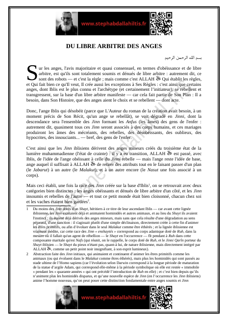 DU LIBRE ARBITRE DES ANGES (PDF)