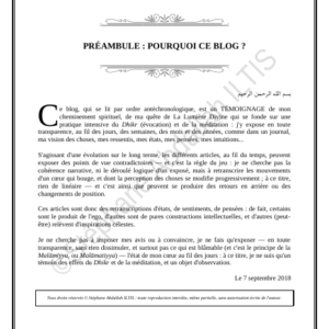 PRÉAMBULE : POURQUOI CE BLOG ? (PDF)